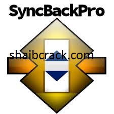 SyncBackPro Crack 