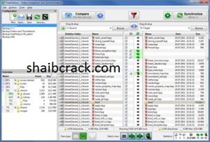 Free File Sync 11.24 Crack With Serial Key Full Download 2022