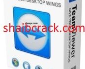 TeamViewer Crack