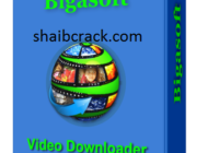 Bigasoft Video Pro Crack