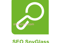 SEO SpyGlass Crack